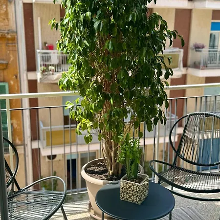 Visconti 90 בארי